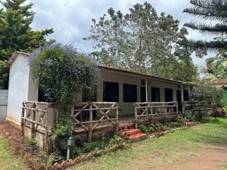 The Big Cat's Den - Maravakandy Resort, Masinagudi - 4