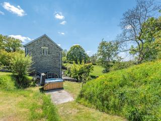 Dyffryn Glanffrwd Mill - Cellan - 2