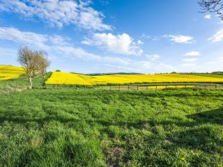 Newbigging Farm Cottage - 6