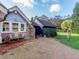 Forest View Barn - 5