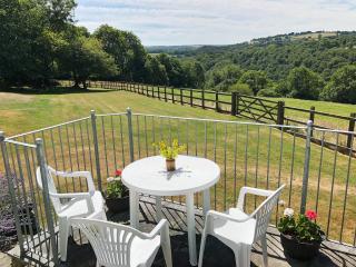 Cych Cottage - 2