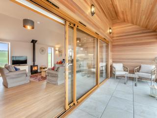 Hollyhocks - Uk47975 - 9