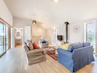 Hollyhocks - Uk47975 - 7