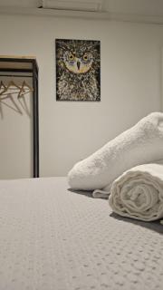 Apartamento Menina Santa Ana - 1