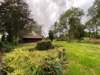 Dairy Farm - 3