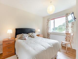 Cambrian Mountain View - 1