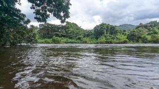River Resort Kitulgala - 6