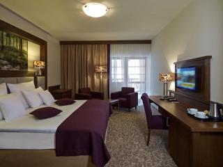 Hotel Mercure Krynica Zdrój Resort&Spa - 7