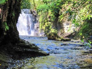 Brewhouse - Uk48743 - 6