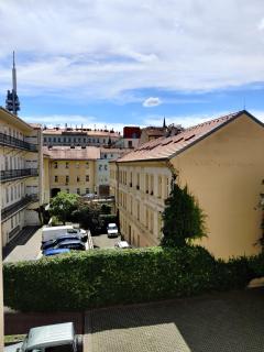 Cozy Flat at Žižkov & Free Parking - 8