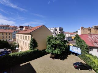 Cozy Flat at Žižkov & Free Parking - 3