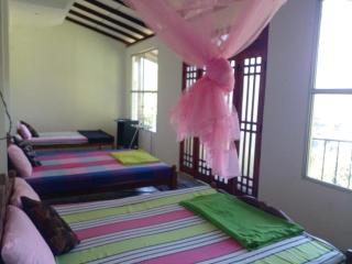 Mountain Top Guest - 2