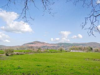 The Shepherd's Rest - 1