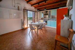 Jungle Holiday Apartment - 3