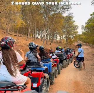 Suite Moderna con Terraza Privada - 7