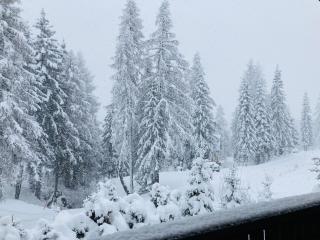 Chalet Heinrich Ski in & Ski out - Apartment Bergblick - 7