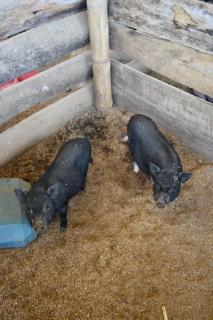 Los lagos del abuelo - 8