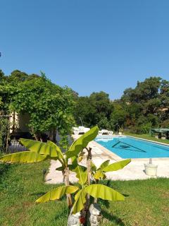 Chalet et Mobile Home, au sein du maquis Corse avec piscine PRIVATIVE 9mx4m - 4