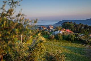 Vinomare Guesthouse - 1