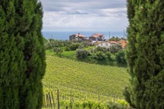 Vinomare Guesthouse - 4