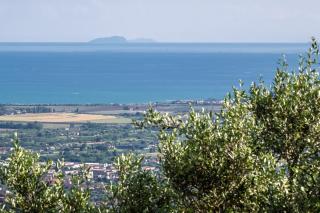 Vinomare Guesthouse - 1