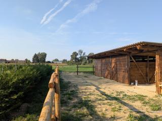 Casale del Miglio - 4