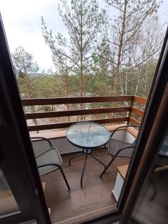 Apartman Pavlovic - 1
