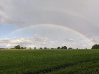 4 person holiday home in VETLANDA-By Traum - 1