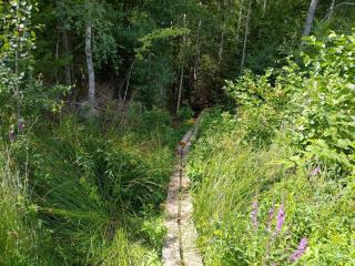 7 person holiday home in VIRSERUM-By Traum - 4