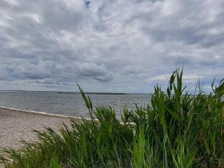 4 star holiday home in GOTLANDS TOFTA-By Traum - 1