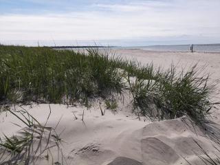 4 star holiday home in GOTLANDS TOFTA-By Traum - 2