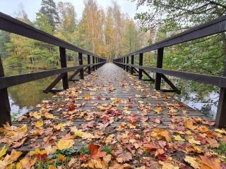 Cozy Apartment with Garden in Saffle - 1