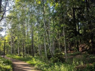 4 person holiday home in HUDDINGE-By Traum - 3