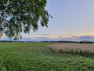 6 person holiday home in HAMMARÖ-By Traum - 4