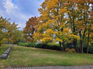 6 person holiday home in HAMMARÖ-By Traum - 3