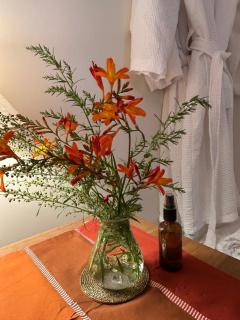 Four Seasons Cottage - in the Cotswolds - 2