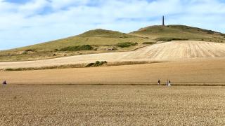 Cap Blanc-Nez - 6 personnes - animaux acceptés - 4