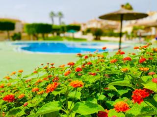 Casa Blanca- Charming Spanish Villa with Pool - 5