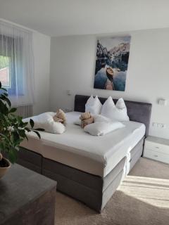 Apartament Zaharia - 2
