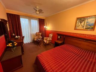 Grand Hotel Residence Piešťany - boutique hotel - 1