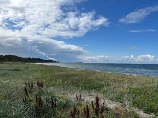 8 person holiday home in Jægerspris - 1