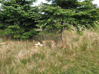 22 person holiday home in Væggerløse - 4