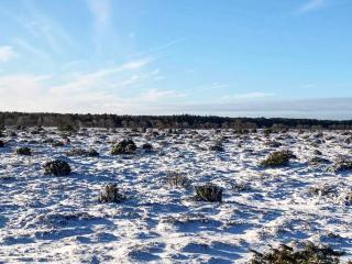 8 person holiday home in Hadsund-By Traum - 4