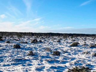 Beachfront Bliss in Hurup - By Traum Ferienwohnungen - Hadsund - 3