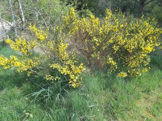 6 person holiday home in Henne - 1