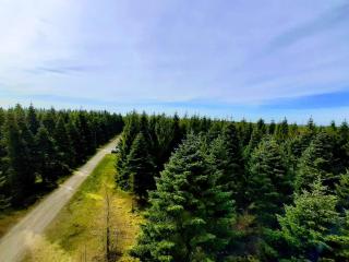 Holiday home in Central Jutland - 7