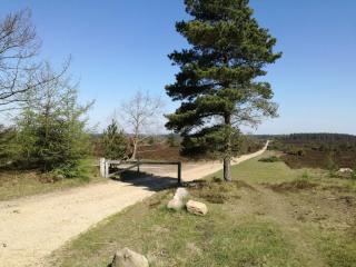 Holiday home in Central Jutland - 1