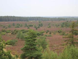 Holiday home in Central Jutland - 1