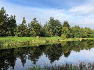 6 person holiday home in Oksbøl-By Traum - 1