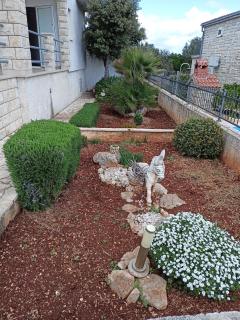 Apartments by the sea Rogac, Solta - 21346 - 4